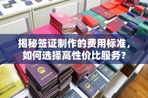 革吉揭秘签证制作的费用标准，如何选择高性价比服务？